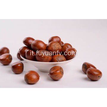 Fresh New Crop Good Price Delicious Chestnut